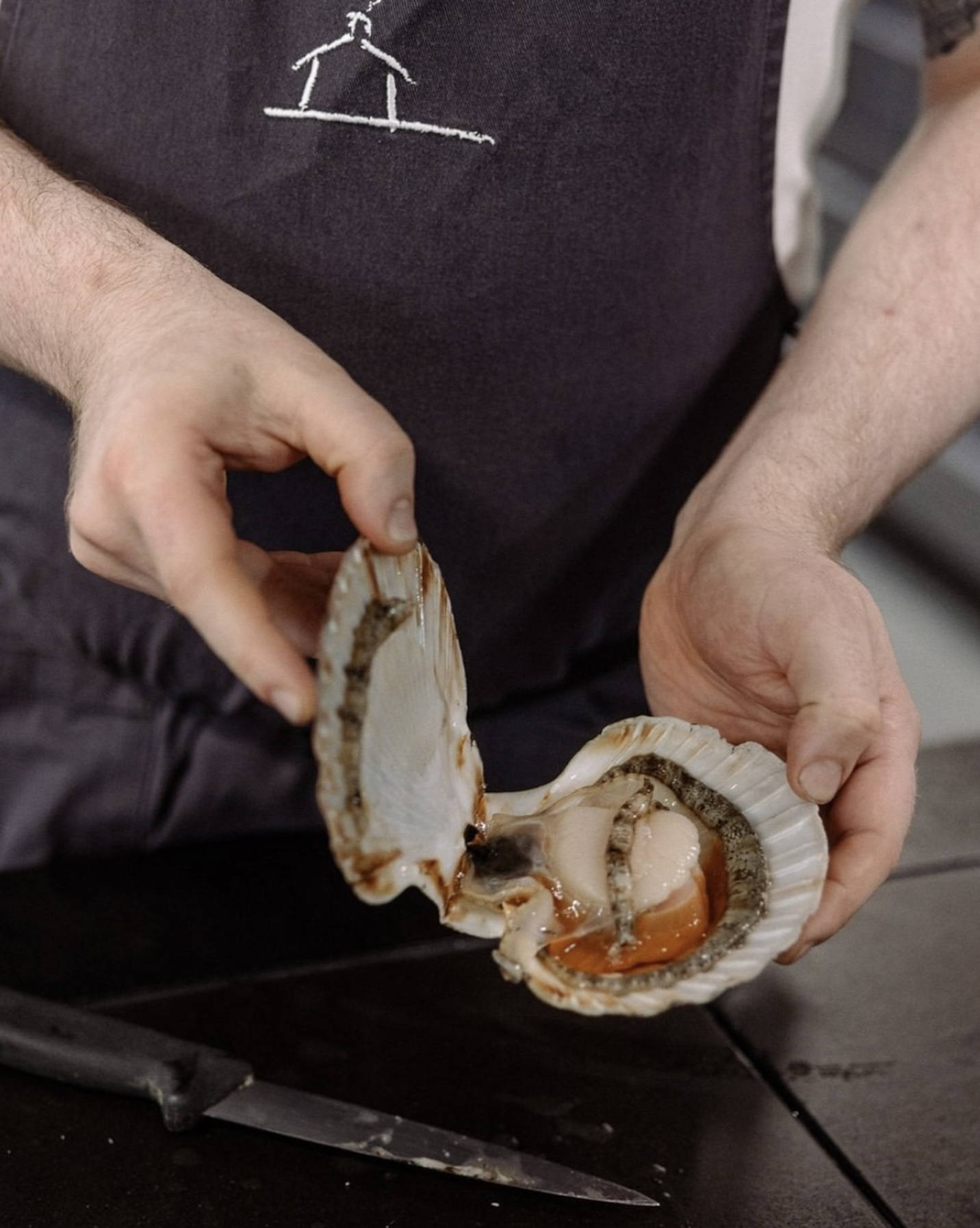 Scallops 1