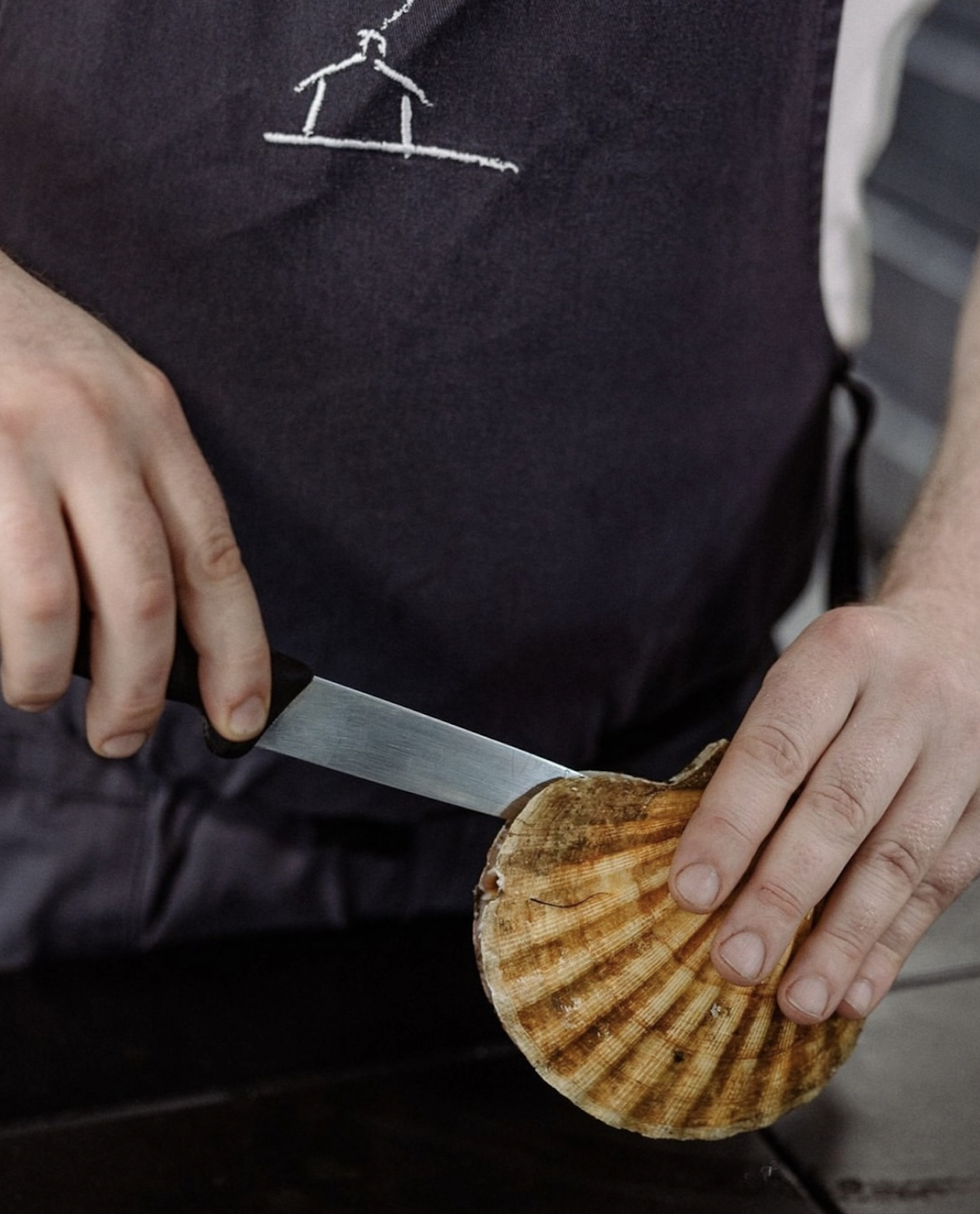 Scallops 2